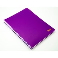 Cahier 300 pages wireo A4 - Oscar|6194044688417|Le Guide