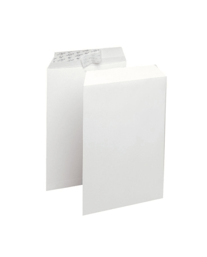 Paquet de 500 Pochettes Blanches 22x32 - Pigna||Le Guide